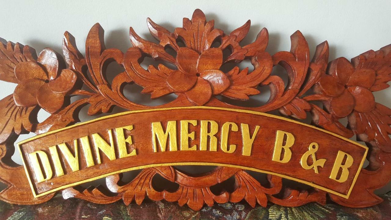 Divine Mercy B&B クノック エクステリア 写真